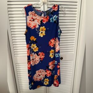 Floral Sleeveless Dress in Blue and Pink